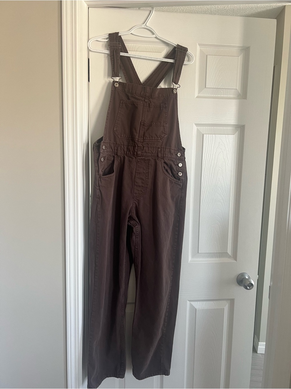 Free People We the Free Ziggy Denim Overalls